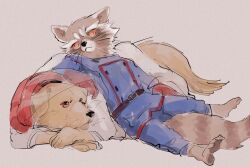 rocket raccoon from guardians of the galaxy
