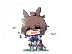 agnes tachyon (umamusume) from umamusume by kawamochi (tddm3573)