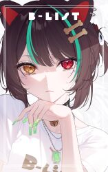 inui toko from nijisanji