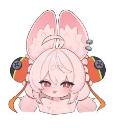 zhao (zenless zone zero) from zenless zone zero
