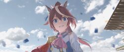 tokai teio (umamusume) from umamusume