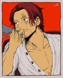 buggy the clown from one piece by udaa (ahirucook)