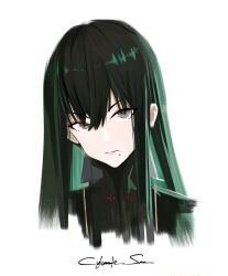 punishing: gray raven fan art