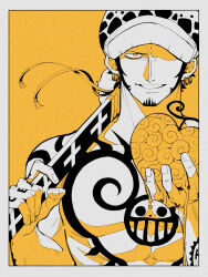 trafalgar law from one piece