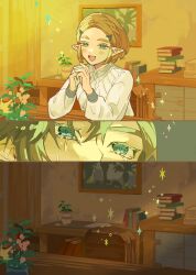 link from the legend of zelda