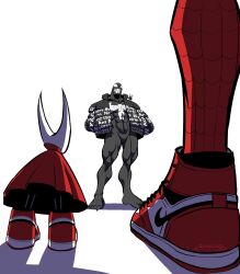 hornet (hollow knight) from hollow knight