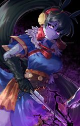 lyn (fire emblem) from fire emblem