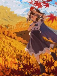 shameimaru aya from touhou
