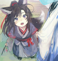 lan wangji from modao zushi