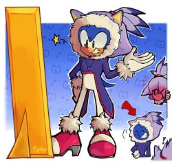 blaze the cat from sonic (series)