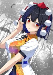 shameimaru aya from touhou