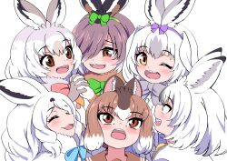 arctic hare (kemono friends) from kemono friends