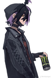 kieran (pokemon) from monster energy by knifedragon