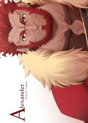 iskandar (fate) from fate/zero by shirotsumekusa