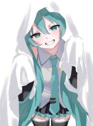 hatsune miku from vocaloid