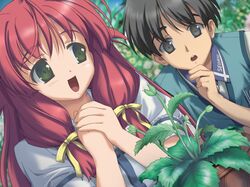 chitose mizuki from angel wish