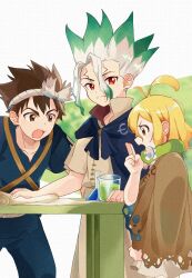 chrome (dr. stone) from dr. stone