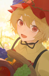 aki minoriko from touhou