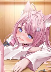 hakui koyori from hololive