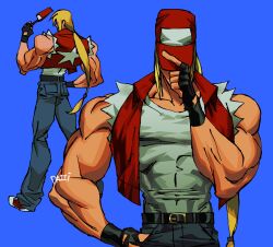 terry bogard from fatal fury