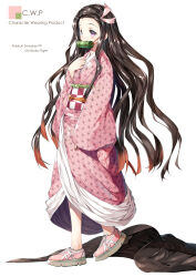 kamado nezuko from kimetsu no yaiba by shimesaba kohada