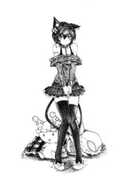chen from touhou by antediluvian
