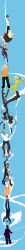 hatsune miku from durarara!!