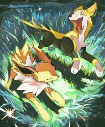 boltund from pokemon