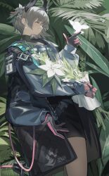raidian (arknights) from arknights