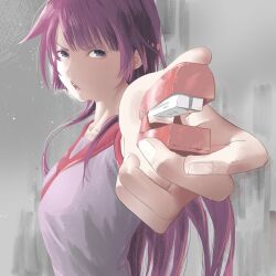 senjougahara hitagi from bakemonogatari