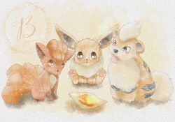 eevee from pokemon