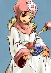princess of moonbrook from dragon quest