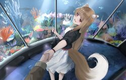 craft lawrence from spice and wolf