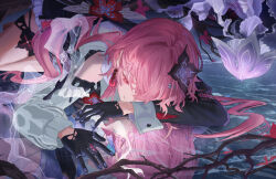 evernight (honkai: star rail) from honkai: star rail