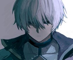 kevin kaslana from honkai (series)