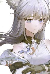 perlica (arknights) from arknights