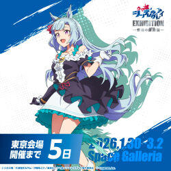 mejiro ardan (umamusume) from umamusume
