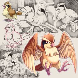 pidgey from pokemon by shoupitsuki