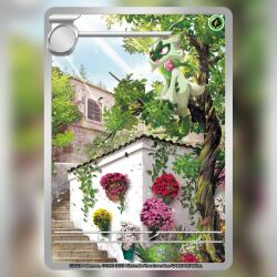 floragato from pokemon by saitou kouki