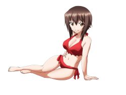 nishizumi maho from girls und panzer