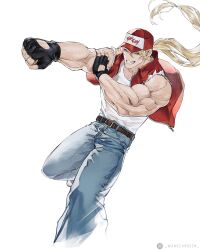 terry bogard from fatal fury by wandzardeen