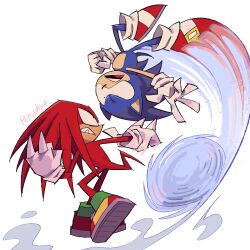 knuckles the echidna from sonic (series)
