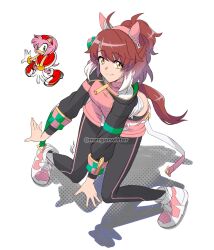 amy rose from sonic (series) by mergeritter