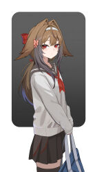 ye shunguang from zenless zone zero