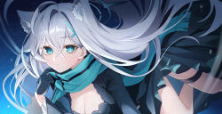 shiroko terror (blue archive) from blue archive