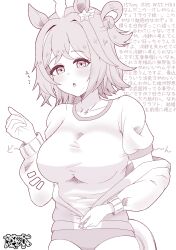 rhein kraft (umamusume) from umamusume