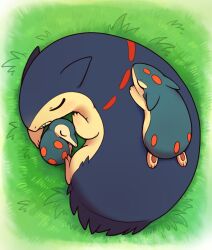 cyndaquil from pokemon by huiro