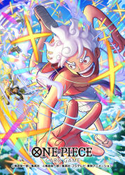 monkey d. luffy from one piece