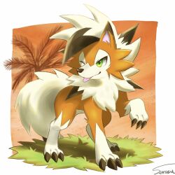lycanroc from pokemon