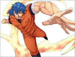 toriko from toriko (series)